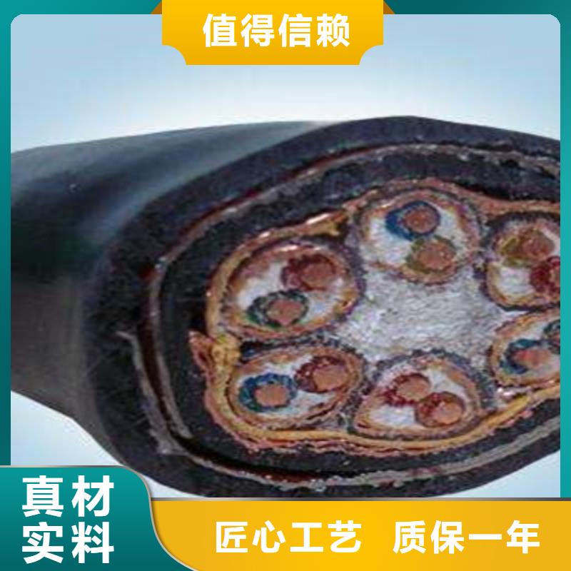 計(jì)算機(jī)電纜電纜生產(chǎn)廠家嚴(yán)格把關(guān)質(zhì)量放心