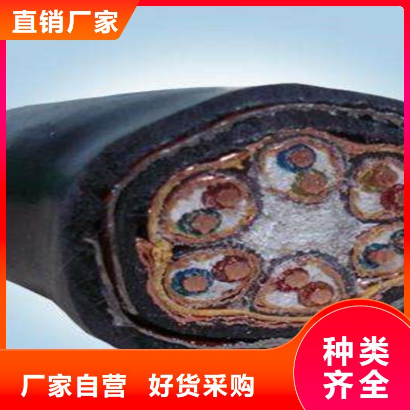 計(jì)算機(jī)電纜屏蔽電纜發(fā)貨迅速