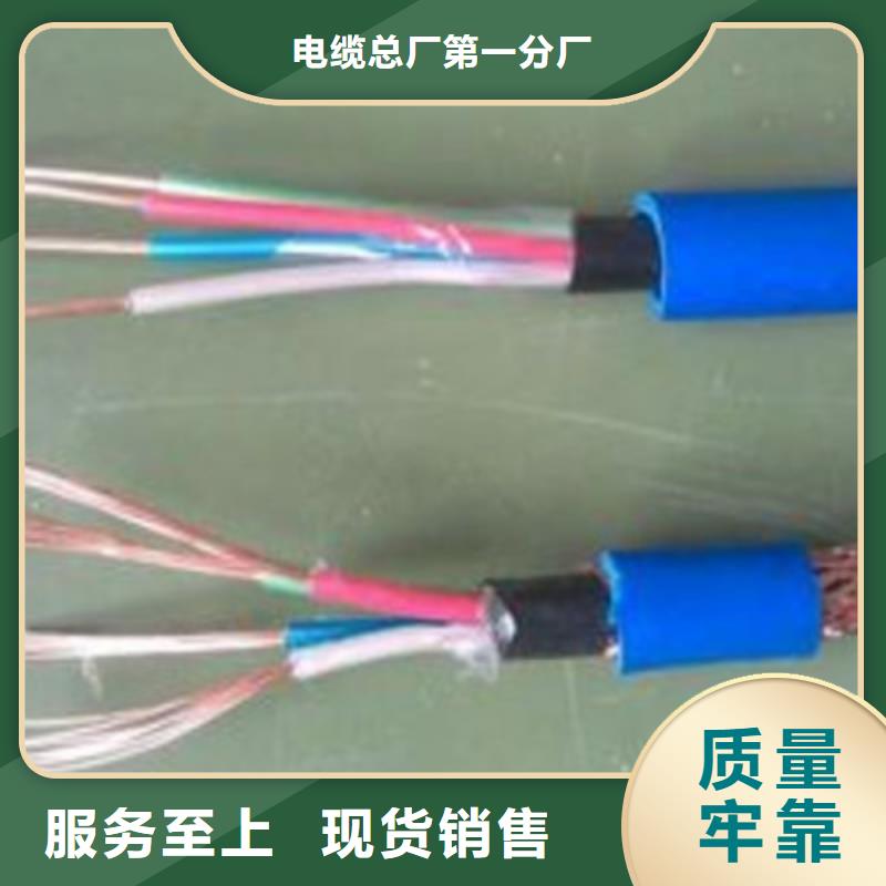 ZR-DJVP2VP2-22阻燃計算機電纜廠家服務(wù)熱線