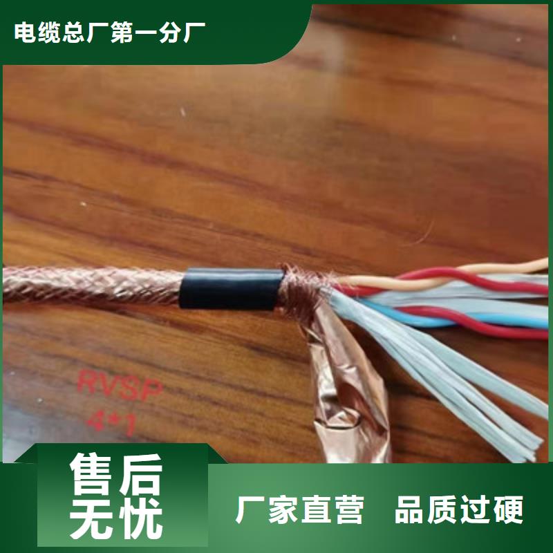 ZRA-DJYJP3VP3-92計算機屏蔽電纜2X2X0.75