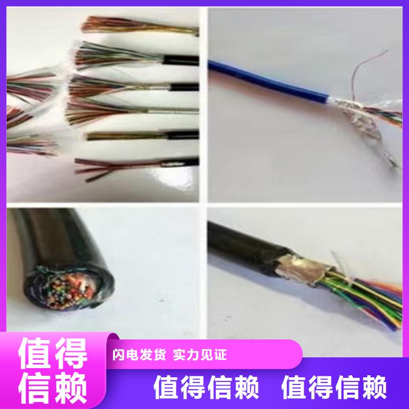 HBIYP2YVZ22-II計算機屏蔽電纜3X2.5