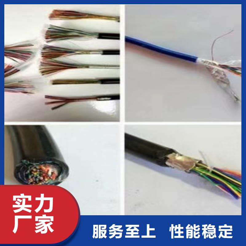 鎧裝計算機電纜DJYJPVP1X2X1.0