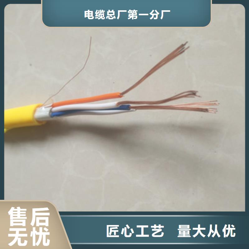 WDZ-ZRC-DJPP低煙無鹵計算機電纜24X2X1.0