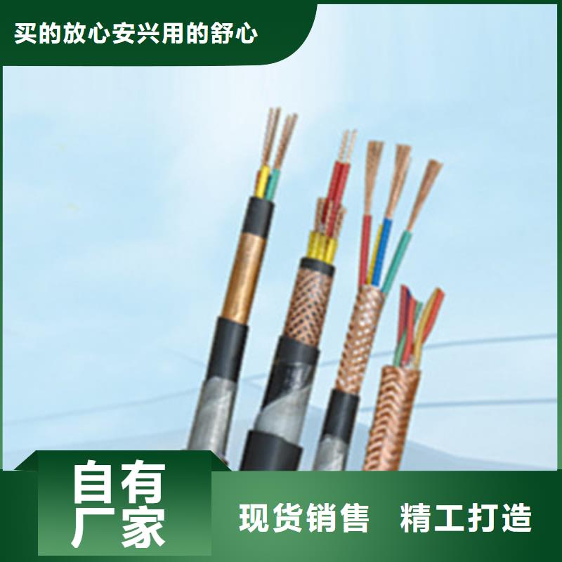 NH-DJVVP2R耐火計算機電纜14X2X1.0