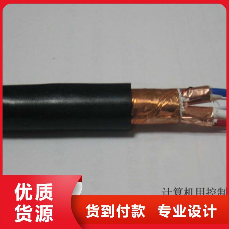 生產(chǎn)低煙無鹵計算機(jī)電纜WDZ-DJVP1V-TR的廠家