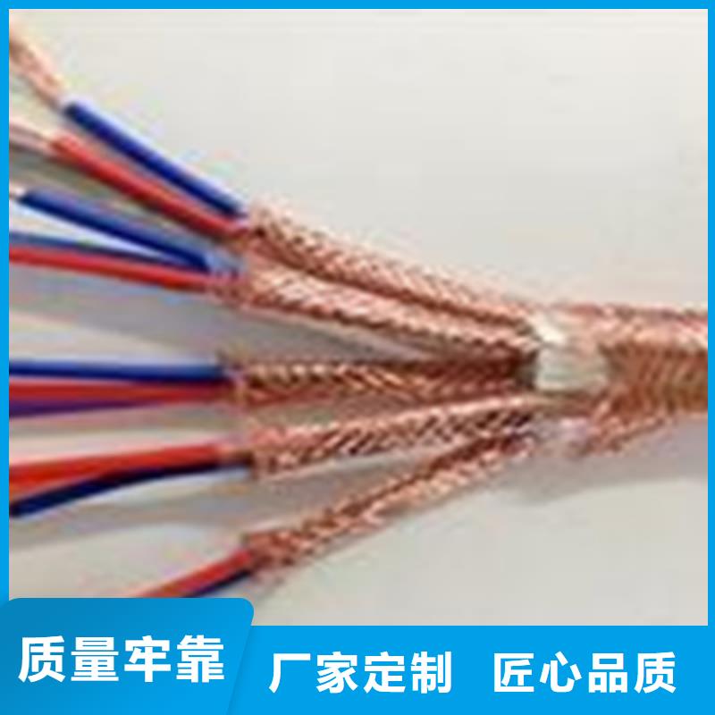 計(jì)算機(jī)電纜屏蔽電纜匠心品質(zhì)