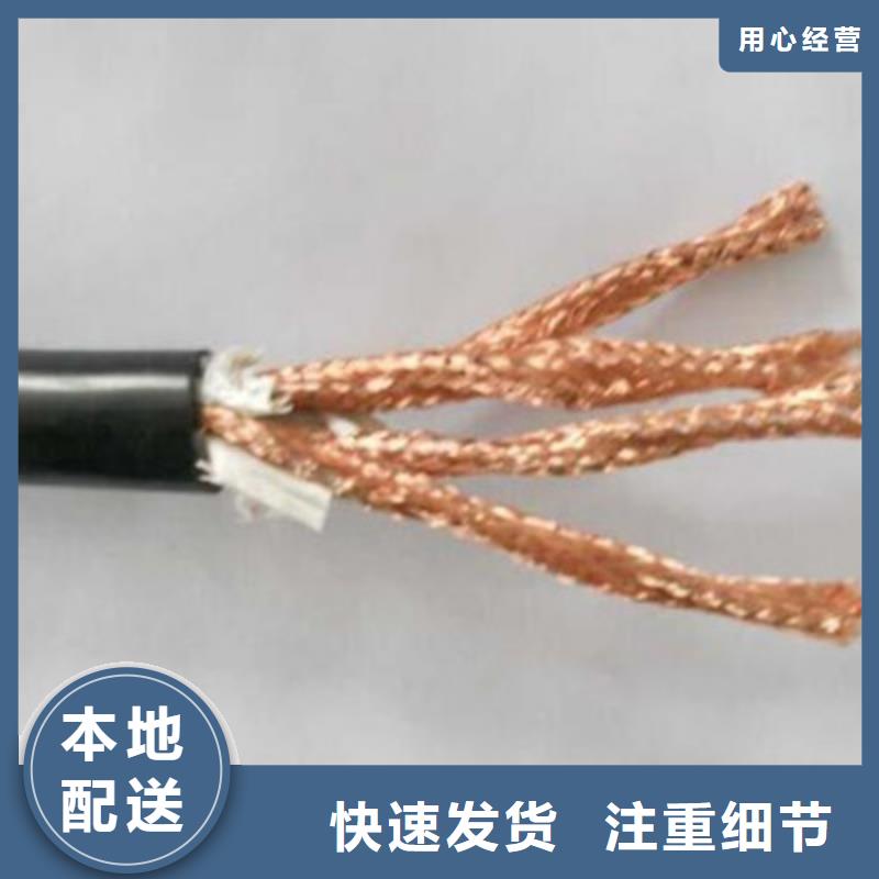 計算機電纜_【電纜生產(chǎn)廠家】優(yōu)選廠家