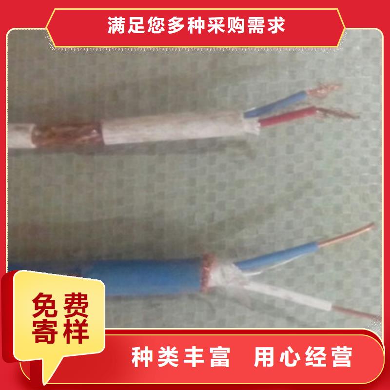 計算機屏蔽電纜DJVP1V-TR_省心省錢