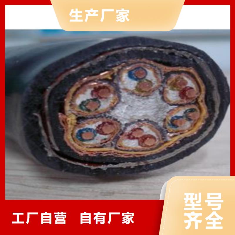 【计算机电缆】屏蔽电缆应用范围广泛