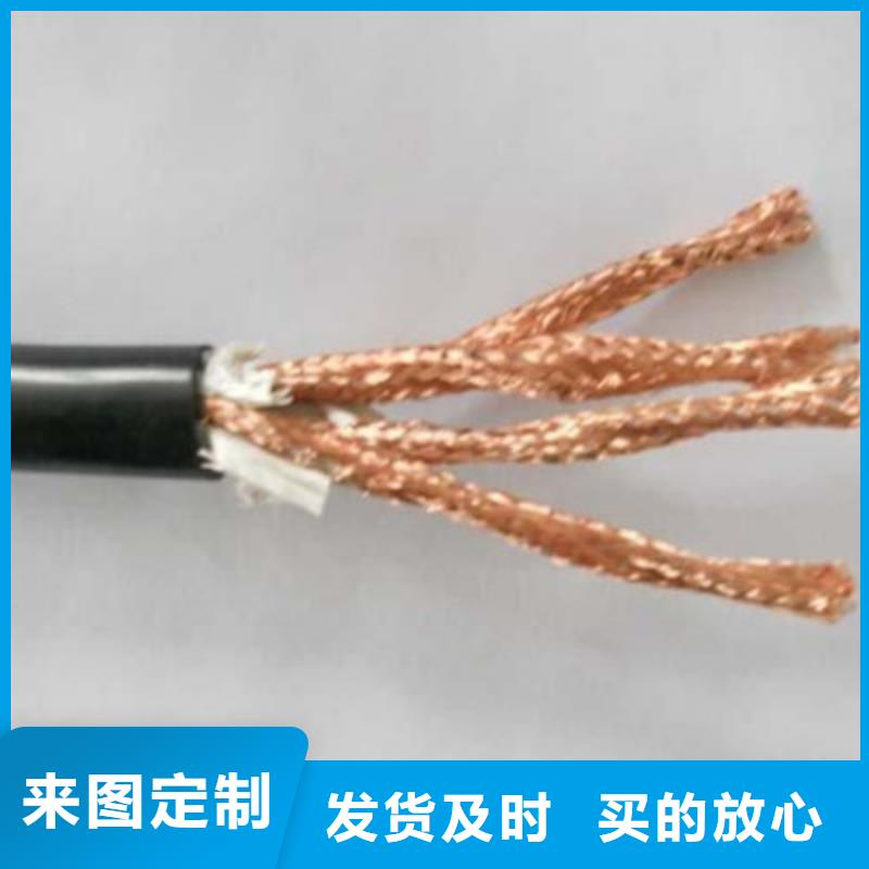 耐火计算机电缆NH-DJYVP827X2X0.75