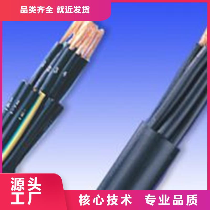 控制電纜屏蔽電纜重信譽廠家