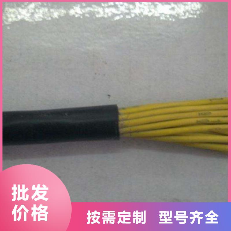 控制電纜-屏蔽電纜保障產品質量