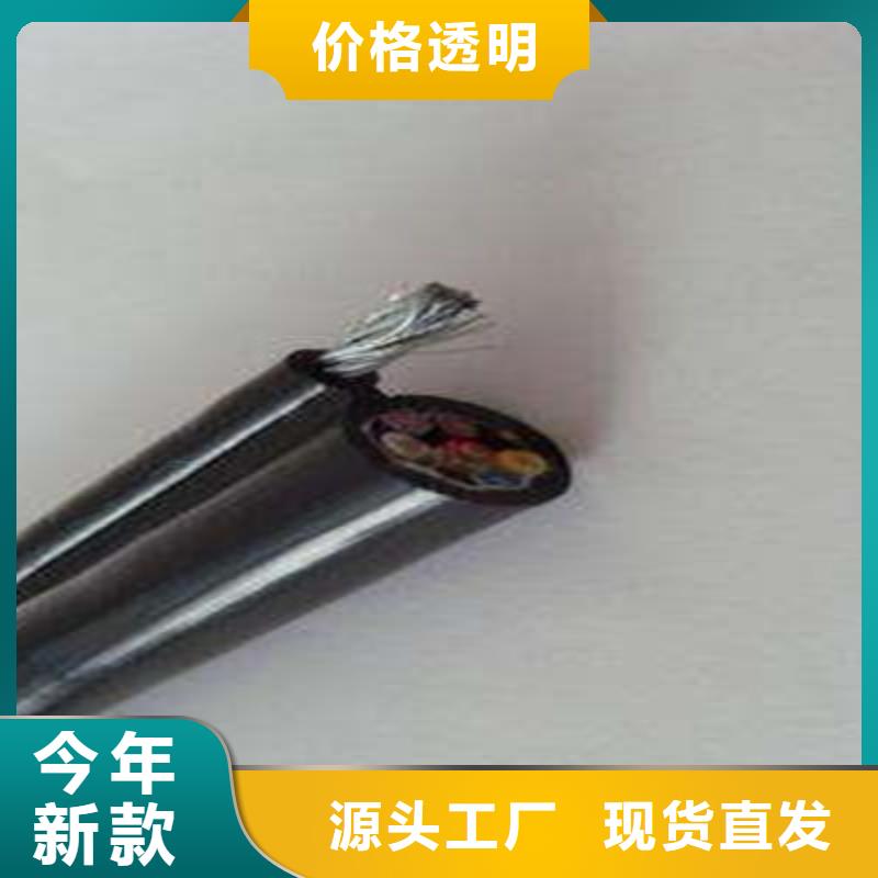 【控制電纜-屏蔽電纜可定制有保障】