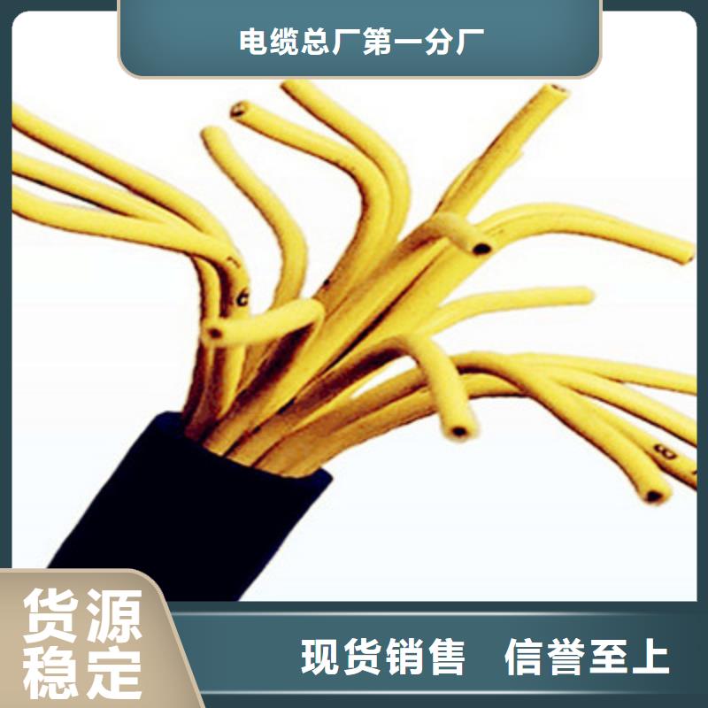 控制電纜屏蔽電纜產(chǎn)地直銷