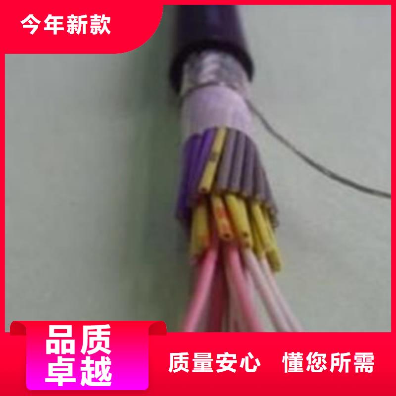 控制電纜信號電纜實體廠家