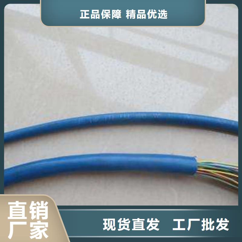 礦用通信電纜電纜生產(chǎn)廠家專(zhuān)業(yè)信賴(lài)廠家