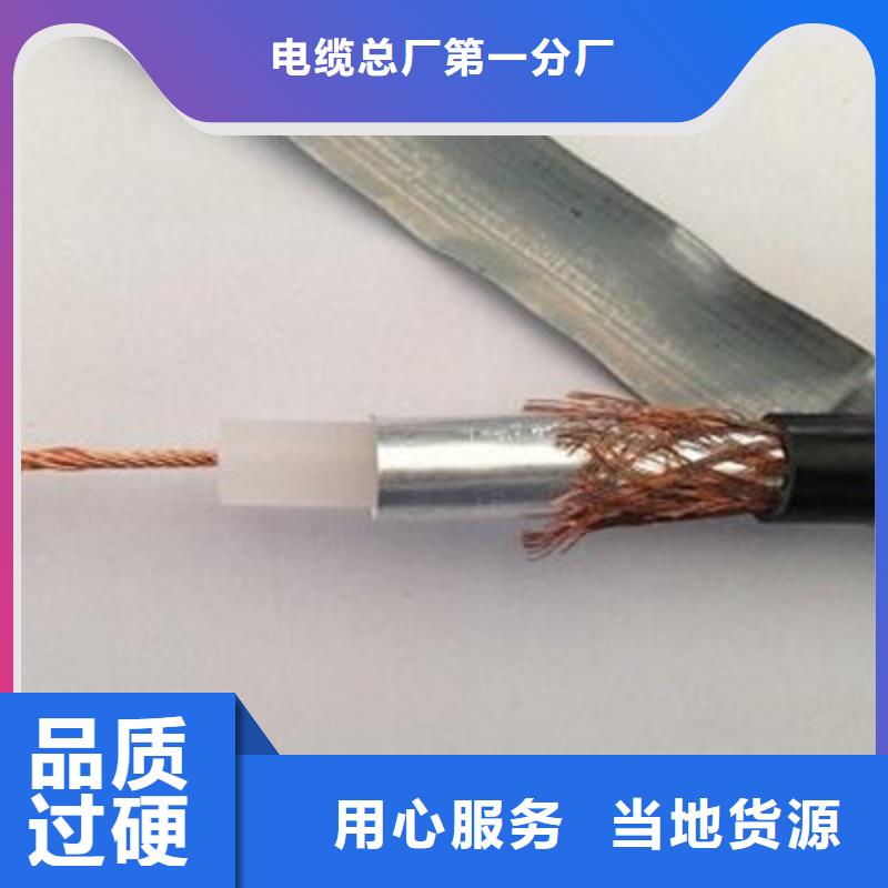 优质影音器材连接电线SYV的生产厂家