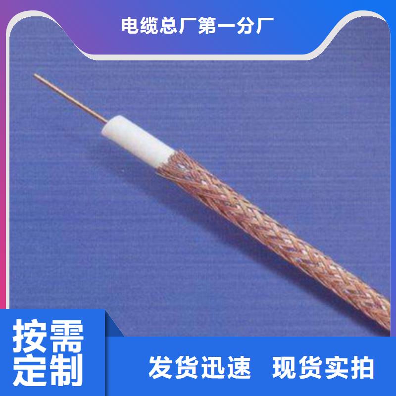 【射頻同軸電纜,信號電纜保質(zhì)保量】