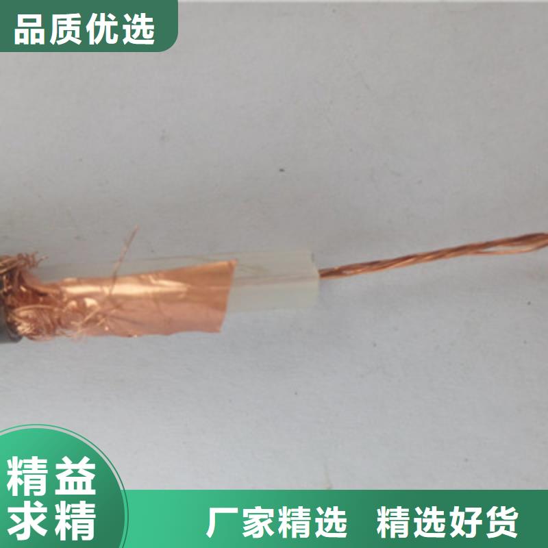 射頻同軸電纜屏蔽電纜工藝精細(xì)質(zhì)保長久