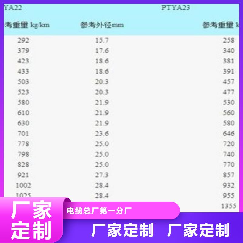 鐵路信號(hào)電纜屏蔽電纜源頭廠家經(jīng)驗(yàn)豐富