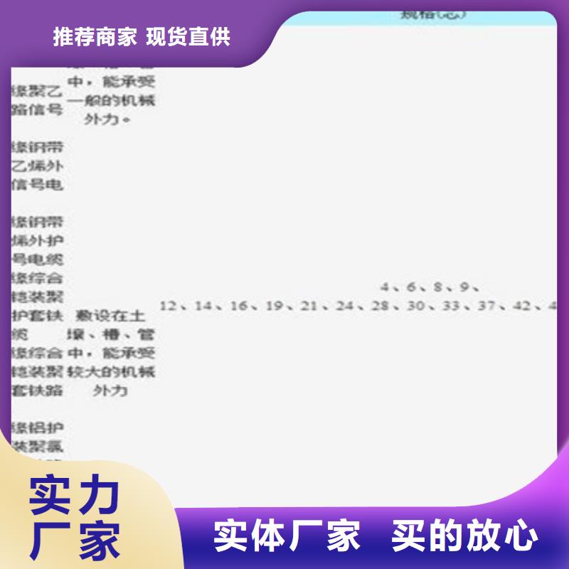 鐵路信號(hào)電纜屏蔽電纜源頭廠家供應(yīng)