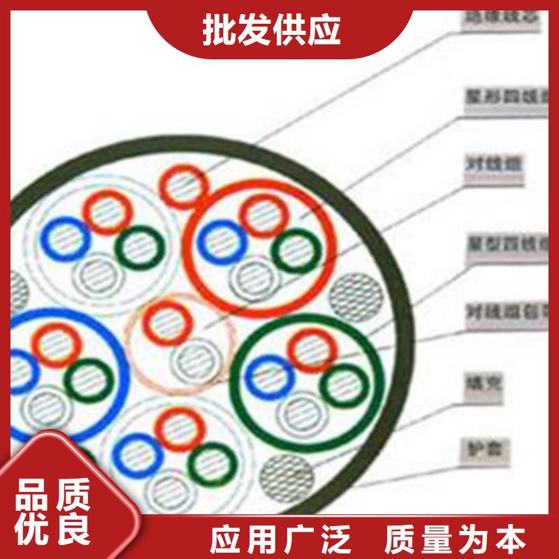 【鐵路信號電纜信號電纜專注細節專注品質】