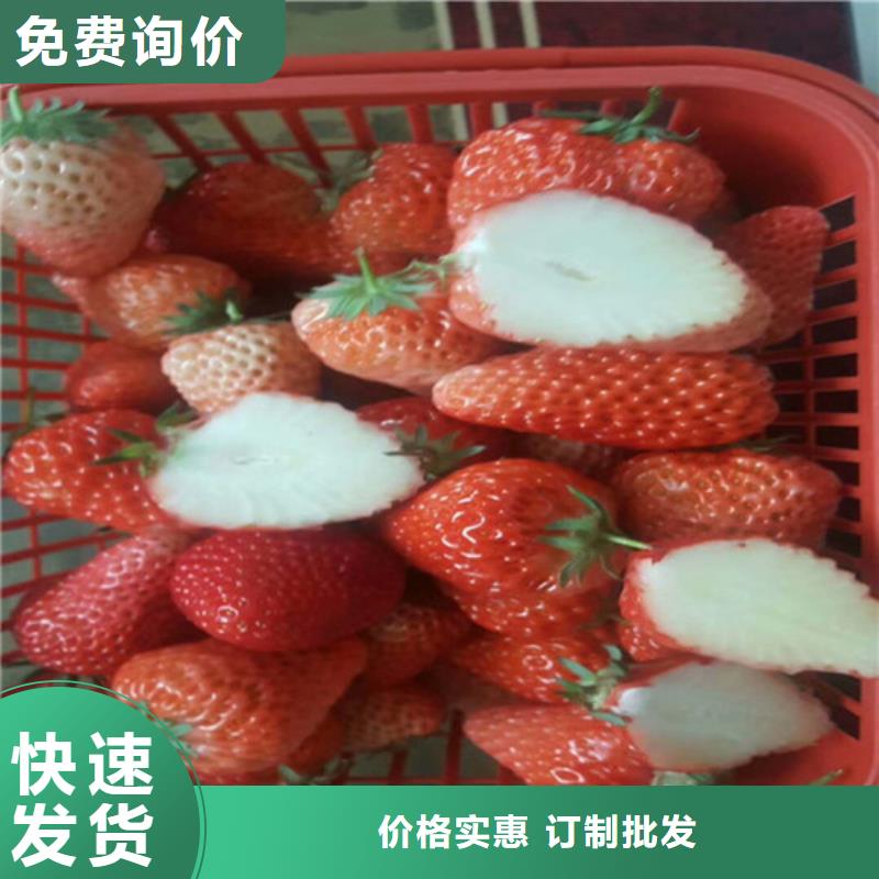 【草莓苗阳光玫瑰葡萄树苗产品细节参数】