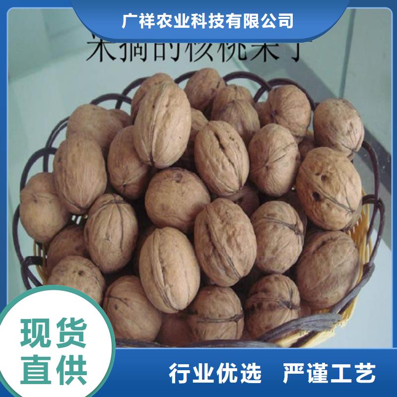 核桃苗,甜柿子樹(shù)苗熱銷產(chǎn)品