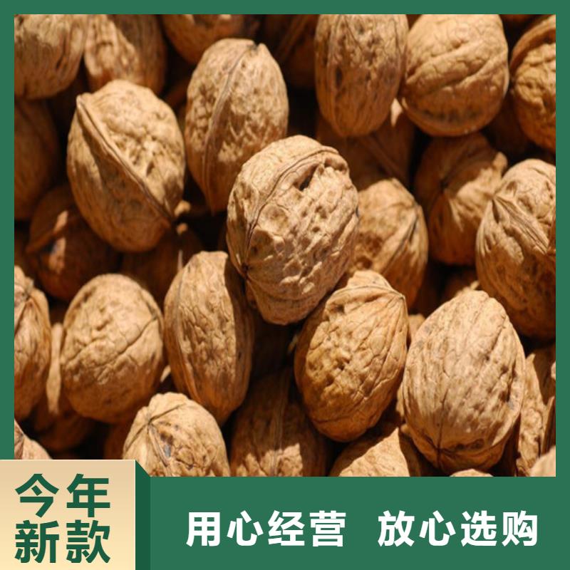 核桃苗果樹苗來圖定制量大從優(yōu)