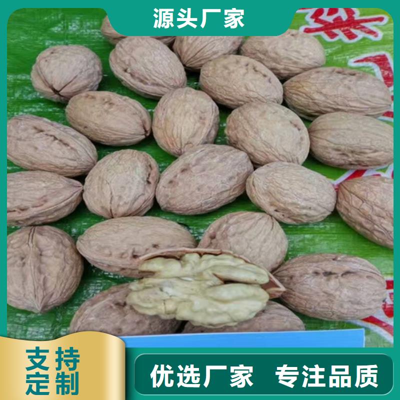 核桃苗果樹苗用心做品質