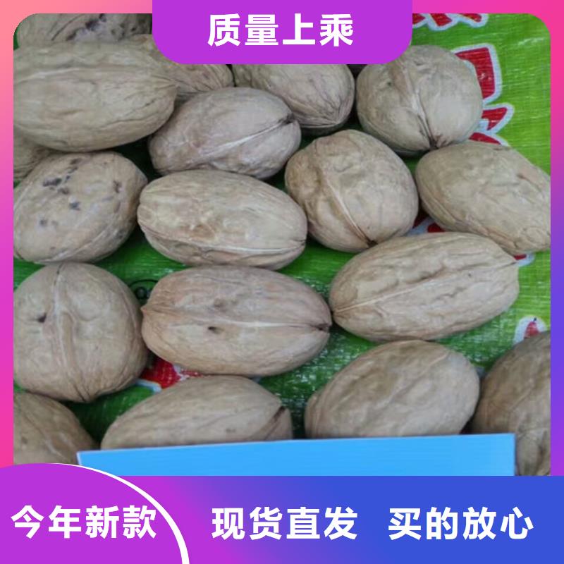 核桃苗西梅樹苗一致好評產(chǎn)品