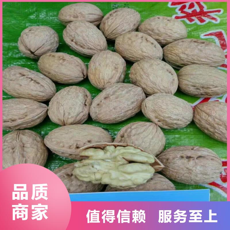 核桃苗_【大紅袍花椒苗】來圖定制量大從優(yōu)