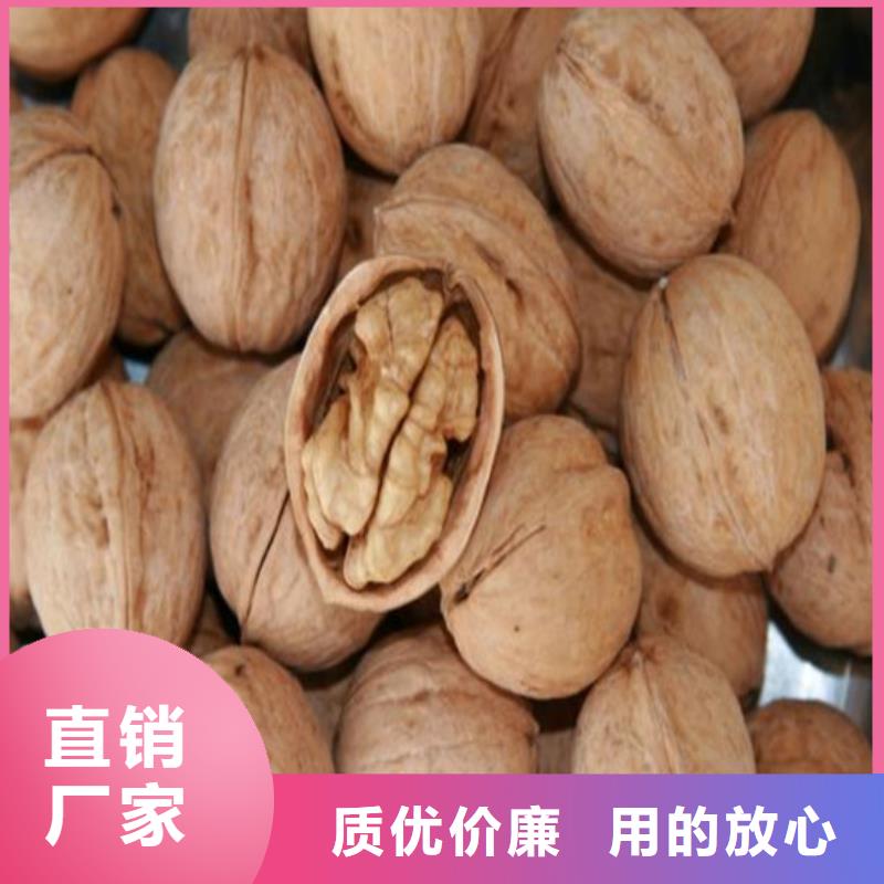 核桃苗,甜柿子樹(shù)苗熱銷產(chǎn)品