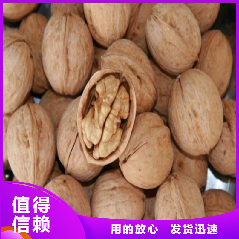 核桃苗草莓苗價(jià)格工廠自營(yíng)