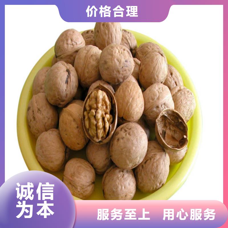 核桃苗【西梅樹苗】生產(chǎn)安裝