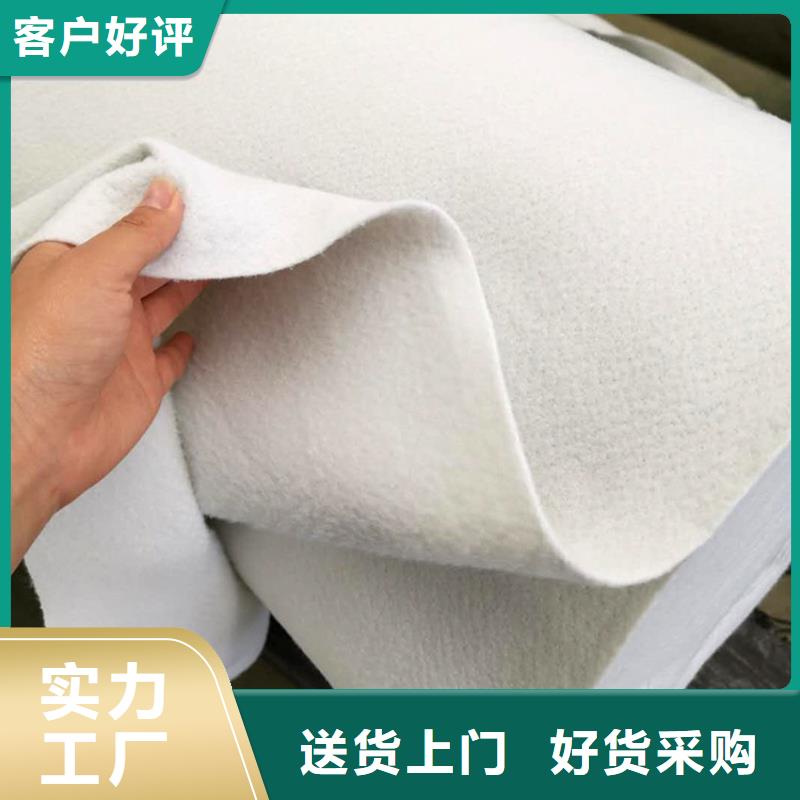 土工布【【水泥毯】】用品質(zhì)說話