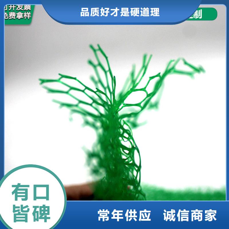 【三維植被網(wǎng)】_復(fù)合土工膜品質(zhì)無所畏懼