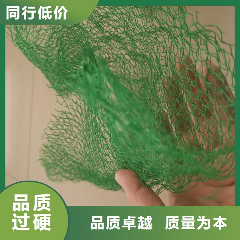 三維植被網【植草格】服務始終如一