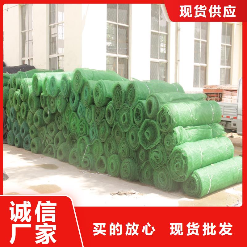 三维植被网土工布商家直供