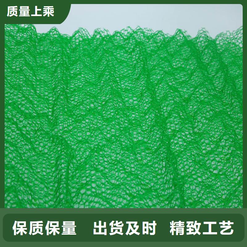 三维植被网【植草格】服务始终如一