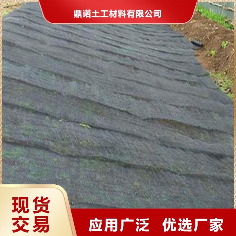 水土保护毯HDPE土工膜检验发货