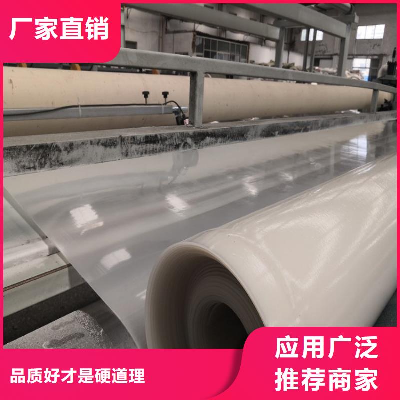 防水板HDPE土工膜性價(jià)比高