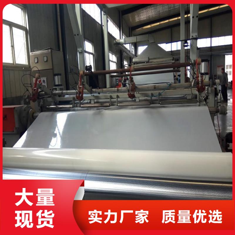 防水板膨潤土防水毯品種全