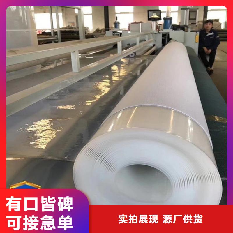 防水板,【防渗膜】闪电发货