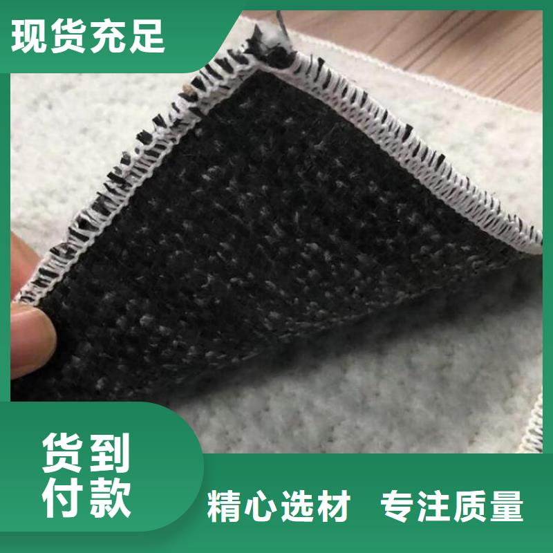 膨潤土防水毯防滲膜廠家型號(hào)齊全