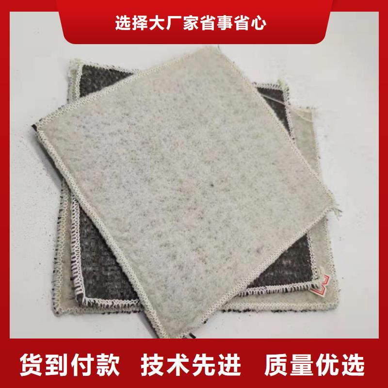 膨潤土防水毯品種全