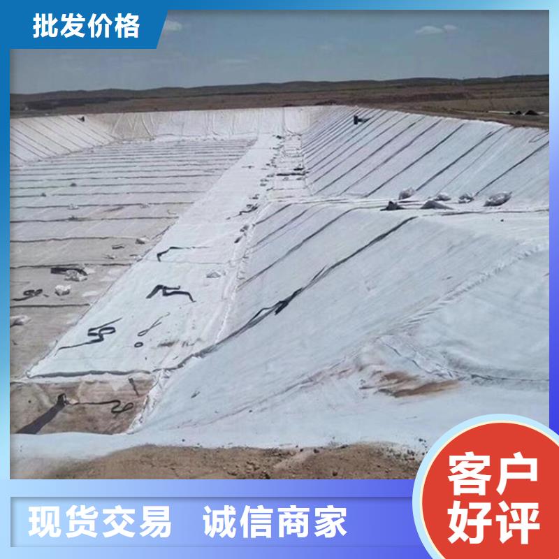 膨潤土防水毯防滲膜廠家型號(hào)齊全