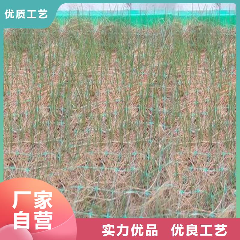 【椰絲毯】軟式透水管真材實料誠信經營