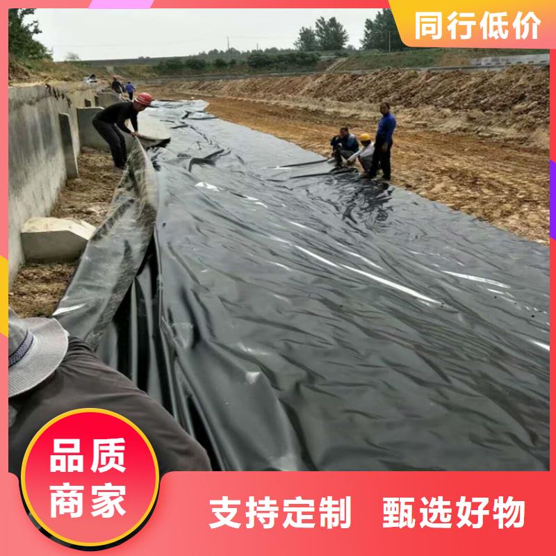 土工膜膨润土防水毯型号全价格低