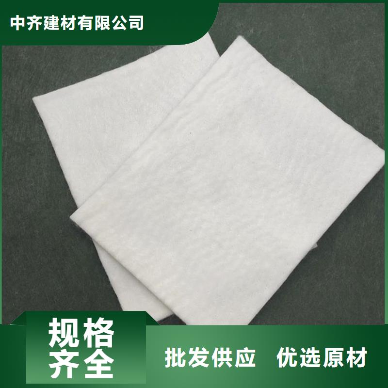 土工布-生態(tài)帶商家